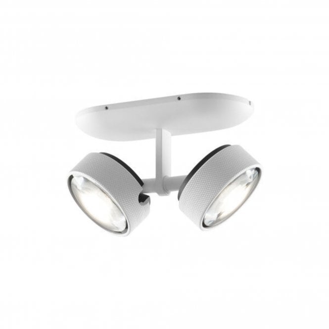 Cosmos White Spotlight