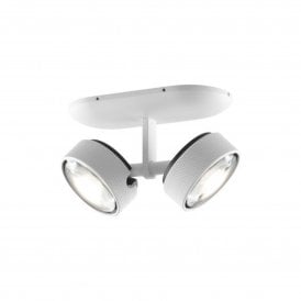 Cosmos White Spotlight