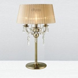 Diyas Olivia IL30066/SB Antique Brass Crystal Three Light Floor Lamp with Bronze Shade