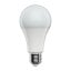 Umage Bright Idea 13W LED Light Bulb