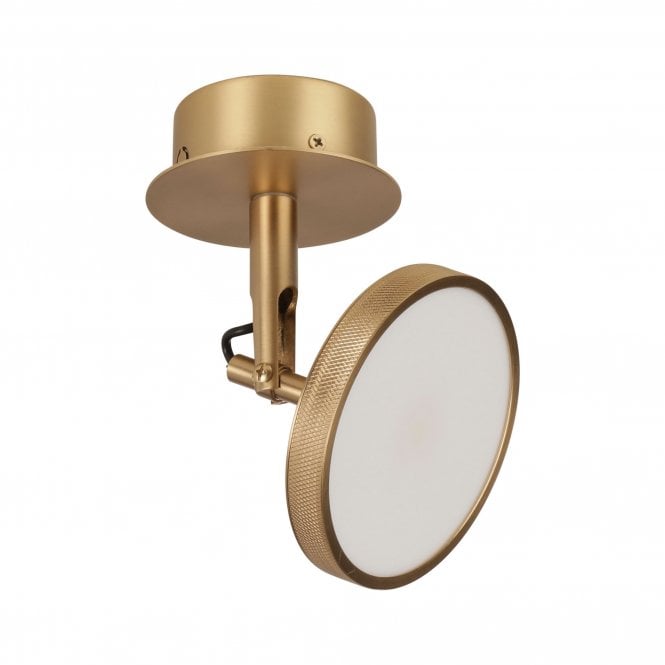 Umage Asteria Spot Wall/Ceiling Light, Brass